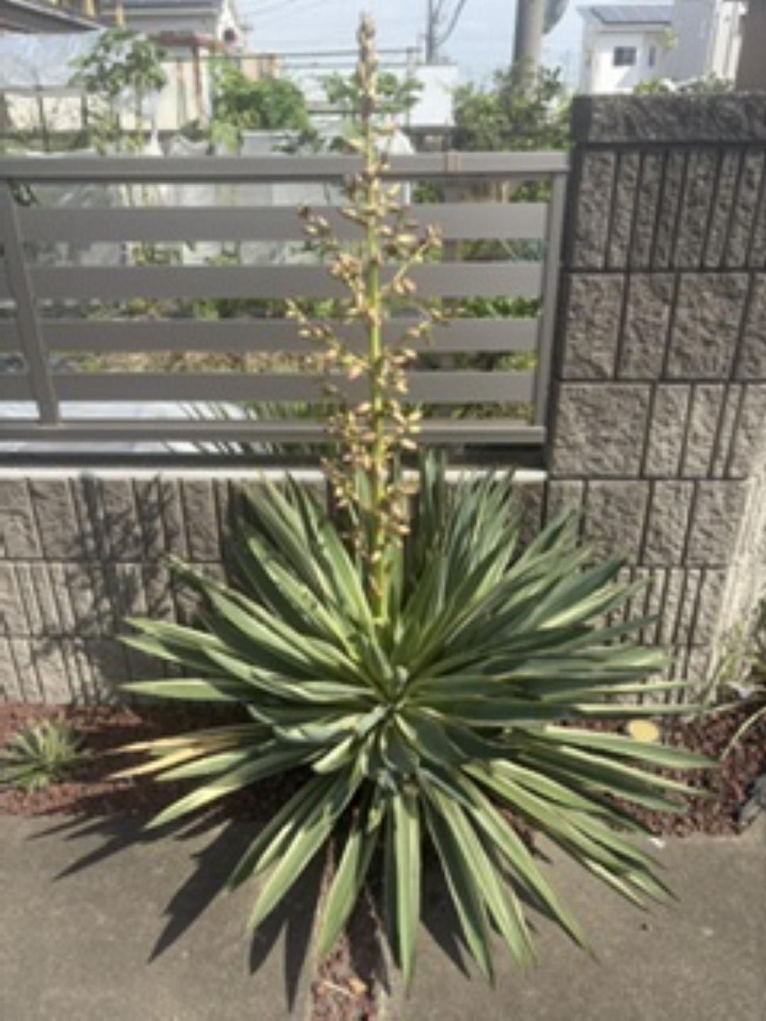26年9月