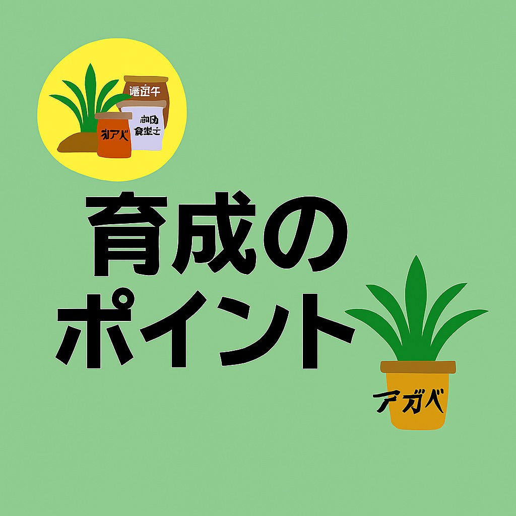 アガベ育成のポイントと基本